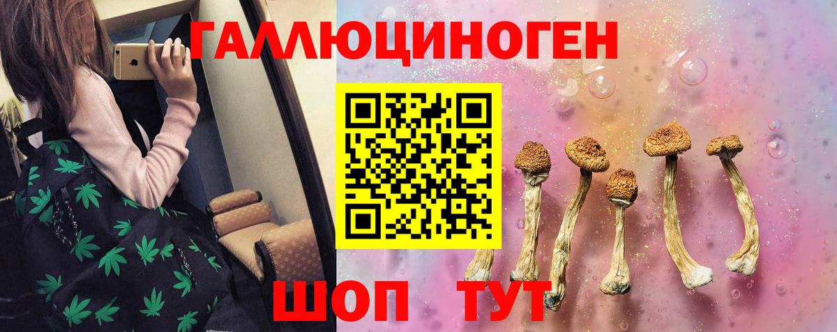 Сочи  Псилоцибиновые грибы Magic Shrooms  Вход с VPN 